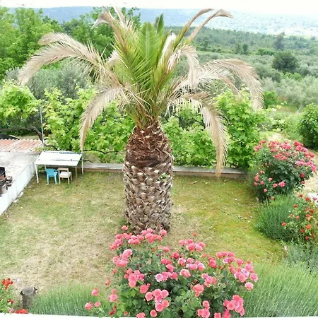 Apartman Sanela * Razanac