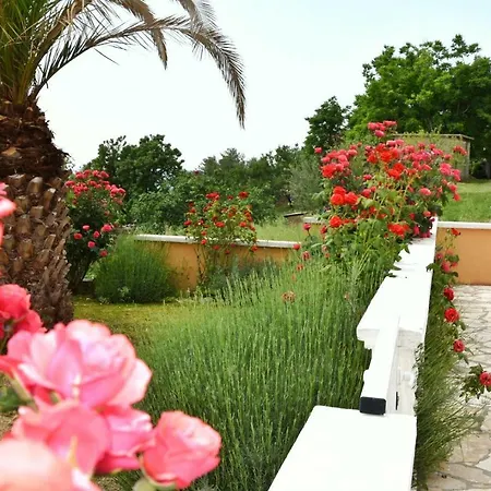 Apartman Sanela Razanac