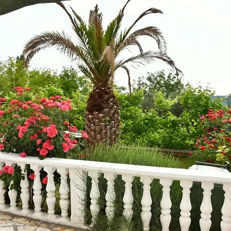 Apartman Sanela Apartment Razanac