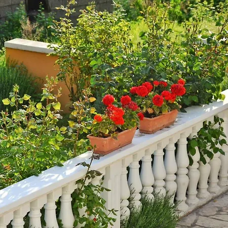 Apartman Sanela Apartment Razanac